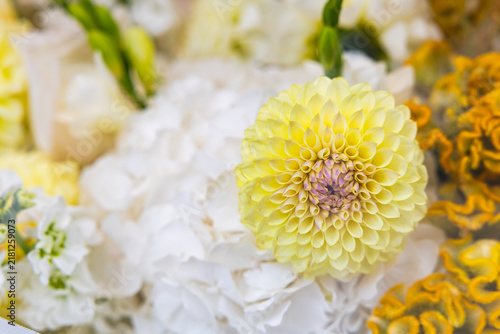 Konstfotografi Macro view of pale yellow dahlia flower blossom in floral composition with shall