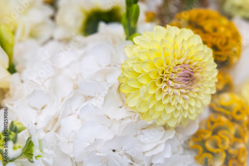 Cuadro en lienzo Macro view of pale yellow dahlia flower blossom in floral composition with shall