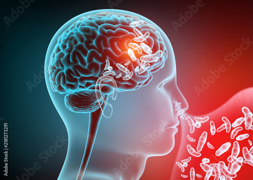 Medical illustration showing microscopic amoeba parasites entering a human nose, representing brain-eating infection and waterborne disease.