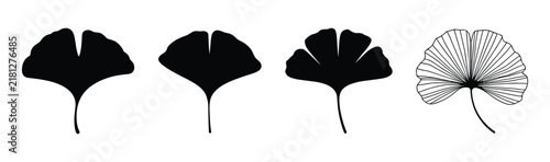 Set of four ginkgo biloba leaves, including three solid black silhouettes and one detailed line with radiating veins, isolated on a white background