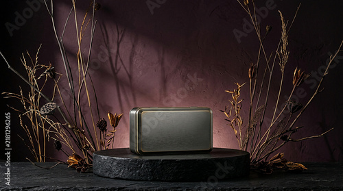Minimalist silver rectangular product podium on textured dark stone surface with dry foliage background stone pedestal product photography abstract background