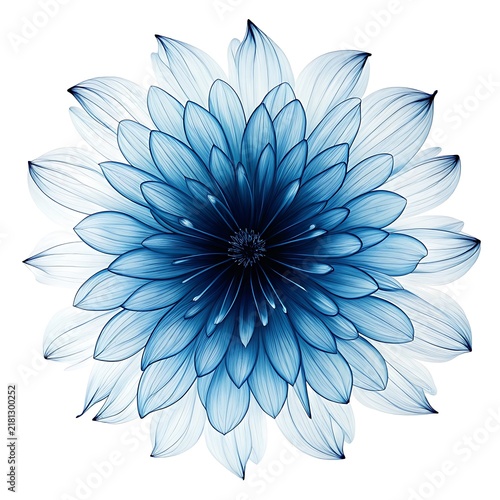 Beautiful blue watercolor flower with soft petals