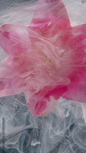 Fotografía Pink flower petal submerged in swirling translucent liquid with soft white wisps