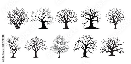 Bild auf Leinwand Bare tree silhouettes set, black leafless winter trees collection, 10 dead tree