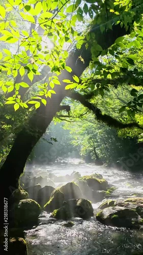 夏でも涼しい菊池渓谷