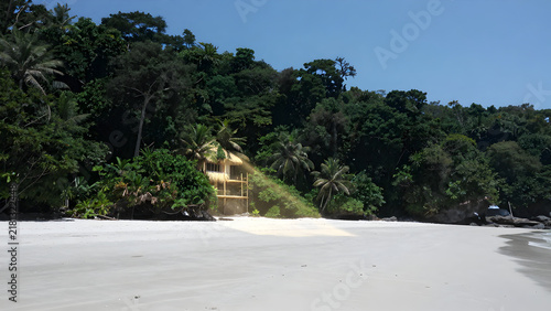 Beach hut nestled in lush tropical jungle landscape