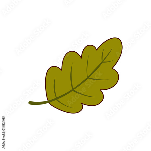 Acorn Botanical Element's