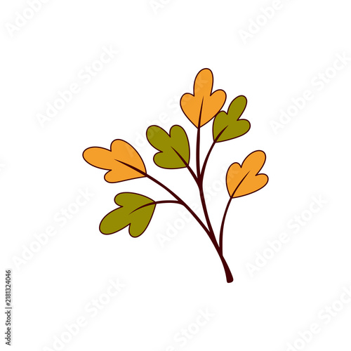 Acorn Botanical Element's
