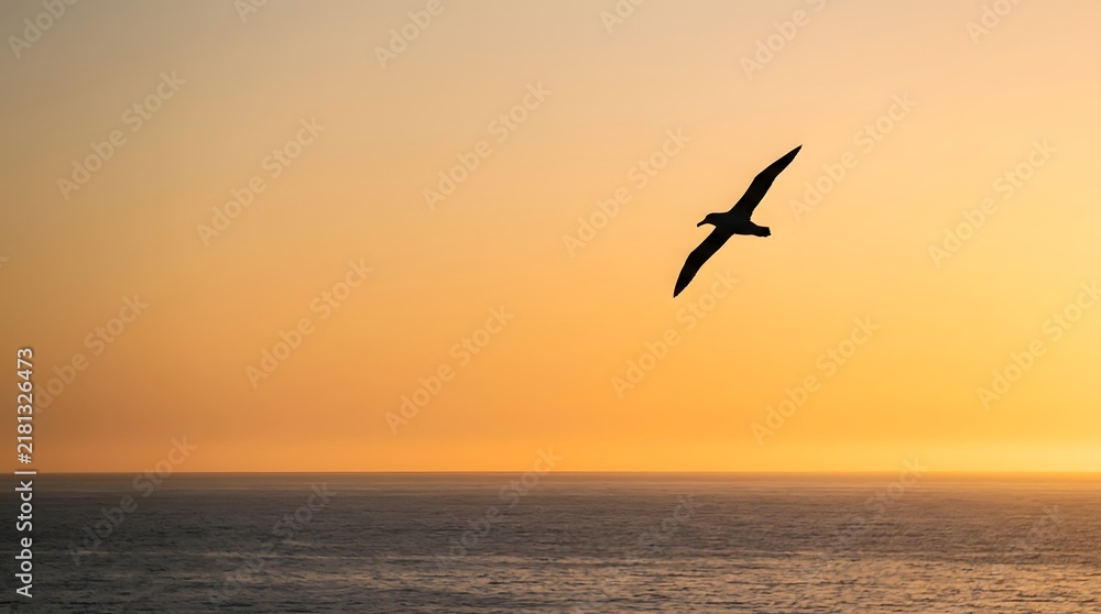 Fototapeta premium Silhouette Seagull in Golden Sunset Over Calm Ocean