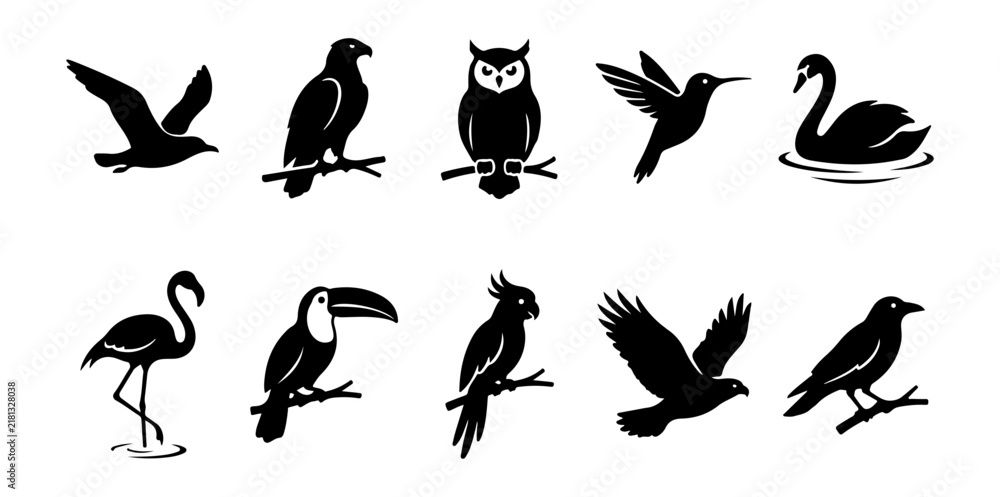 Obraz premium Bird and wildlife silhouette set with seagull, eagle, owl, hummingbird, swan, flamingo, toucan, parrot, hawk and crow shapes for nature, tropical and animal design, including 10 black vector 