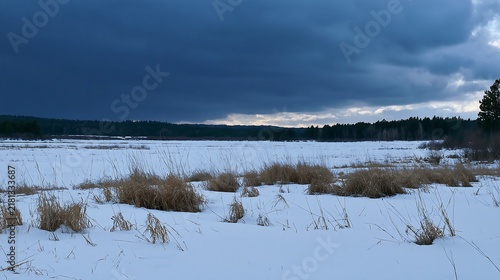 Snowbound meadow with dry grass and darkening sky