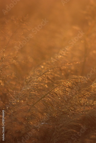 A close-up abstract macro shot of coarse brown fabric texture, showing its intricate details and rich color