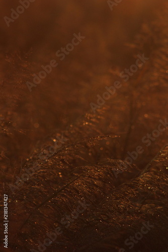 Close-up abstract texture of a rough, dark, earthy material with a hint of metallic sheen. The surface appears gritty and organic, with subtle variations in tone and light.