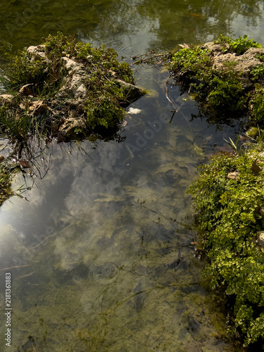 Scenic river with autumn vegetation