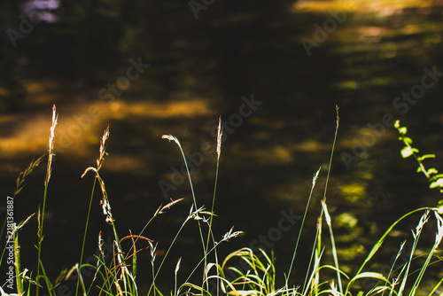 Scenic river with autumn vegetation