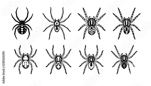 set of black silhouettes of spider