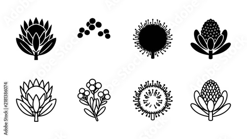 Obraz na plátne South African Protea Flower Icon Set: A collection of black and white graphic icons representing the iconic South African Protea flower and smaller complementary floral elements