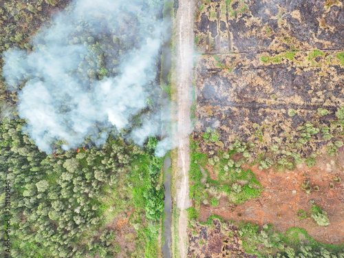 Aerial view of a forest fire with thick smoke rising from burning trees adjacent to a dirt path and previously scorched land in Indonesia.