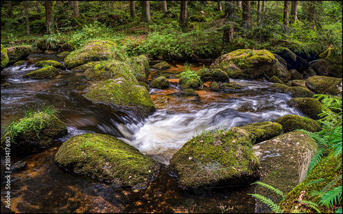 The Power of Water _ A Natural Gem in Northern Lower Austria