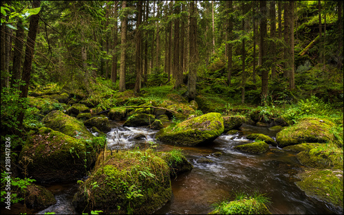 The Power of Water _ A Natural Gem in Northern Lower Austria