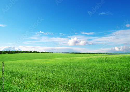green field and blue sky