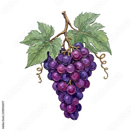 Impressionist Oil Painting Style Purple Grape Cluster With Green Leaves Food Art