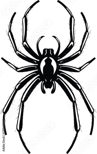 Large Spider Vector Illustration in Black Color Isolated on Transparent Background.