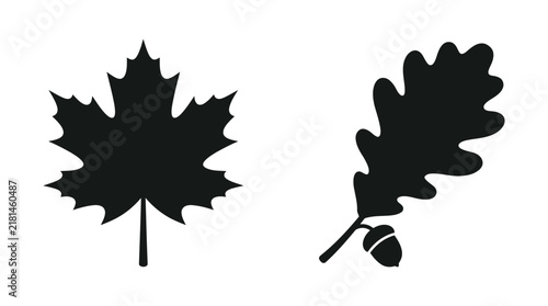 Maple and oak leaf silhouettes against a white background silhouette