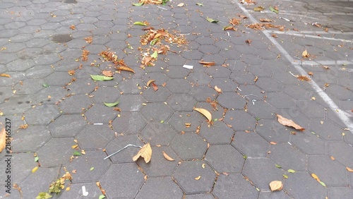 Fallen Leaves and Debris Scattered on Paved Hexagonal Street Surface