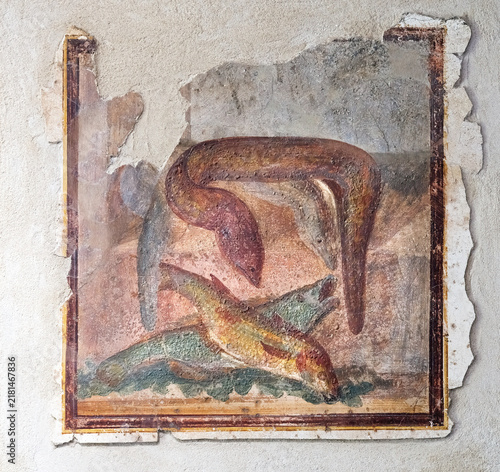 ancient Pompeian fresco of fish caught with moray eel and fish, Pompeii 79 AD Italy