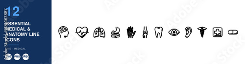 Medical Anatomy Line Icons Set, Essential Medical Symbols, Healthcare Illustration, Design Elements, Vector Graphics