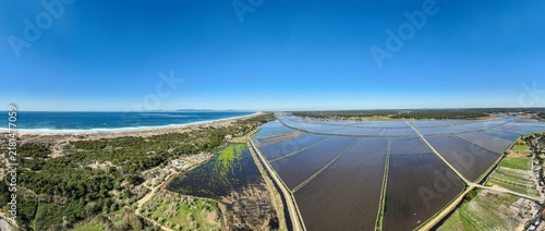 Aerial view of rice fields stretching along the coastline with lush green vegetation and the Atlantic Ocean in the background in Comporta, Setubal, Portugal.