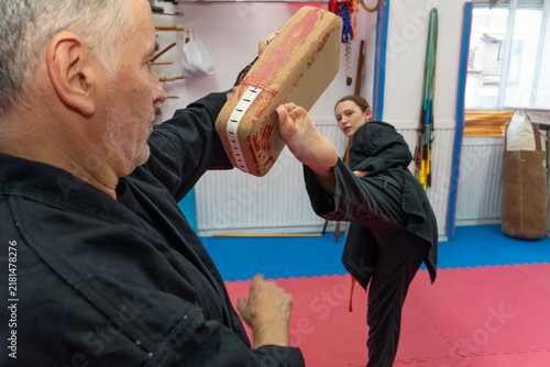 Canvastavla Hapkido student in a black uniform performing a powerful kick against a pad held