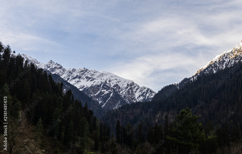 Obraz premium High Altitude Himalayan Landscape with Snow Capped Mountain and Forest