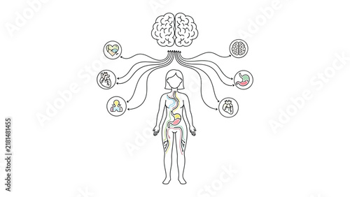 фотографія The Brain-Body Connection: An illustrative diagram showing the interconnectedness between the human brain and various bodily systems, including digestive and nervous functions