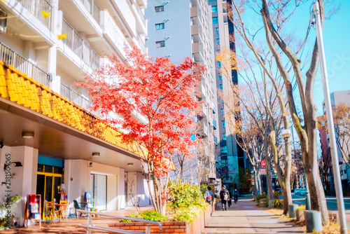 【福岡】赤坂の街並み