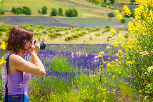 Bild auf Leinwand Tourist woman take photo on lavender field, Provence France