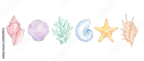 Watercolor seashell coral starfish clipart set isolated on black background, hand painted pastel ocean marine shell collection, aquatic sea life elements for summer design project, beach decor print.