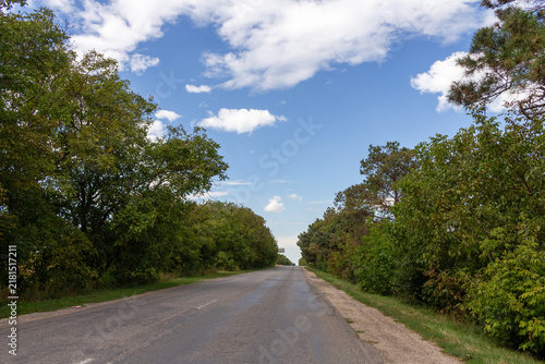 A road with trees on either side