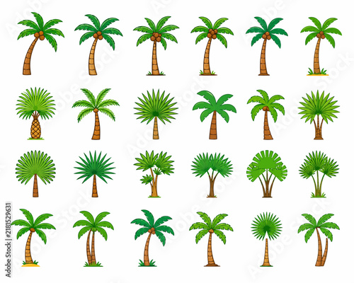 Collection of diverse tropical palm tree vector icons