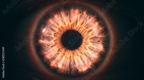 Captivating macro shot revealing the intricate details and warm, fiery hues of a human eye's iris, showcasing its unique patterns and textures