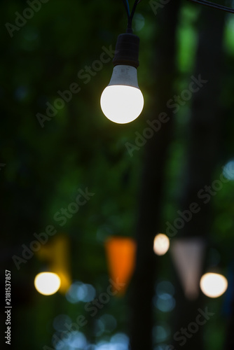 christmas lights on a tree