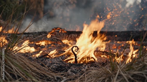 Extreme macro cinematic footage of wildfire flames consuming dry leaves, grass, and small branches on the forest floor. Bright orange flames move naturally with the wind while glowing embers rise into