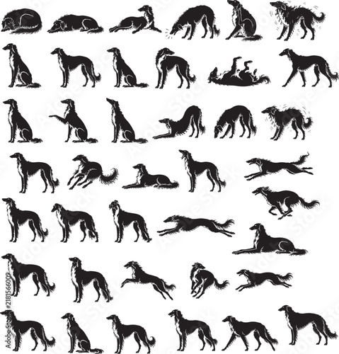 Borzoi Dog Silhouette Set Premium Purebred Russian Wolfhound Black Vector Icons Collection