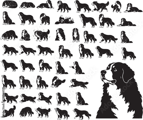 Bernese Mountain Dog Silhouette Set Premium Purebred Black Vector Icons Collection