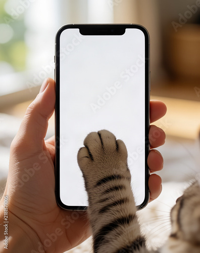 cat phone 2