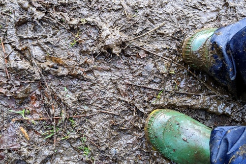 Foto muddy puddles