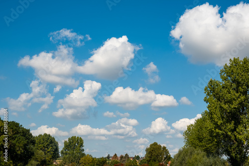 Blue Sky with Fluffy White Clouds over Green Trees with Copy Space