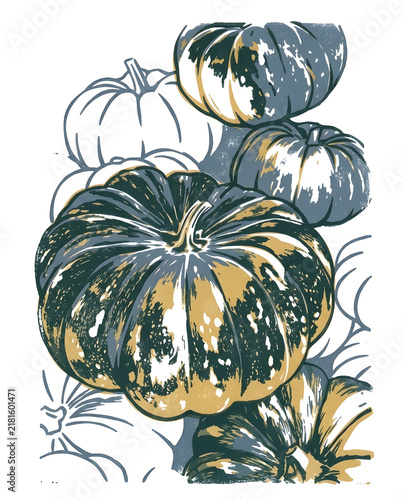 Dark green textured autumn pumpkin illustration. High resolution illustration with natural colors.
