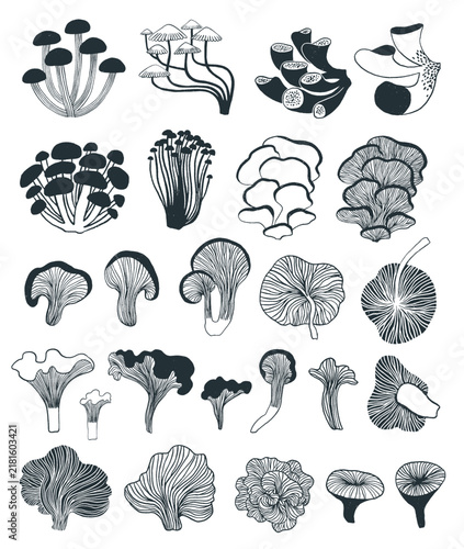 Minimalist set of mushroom illustrations